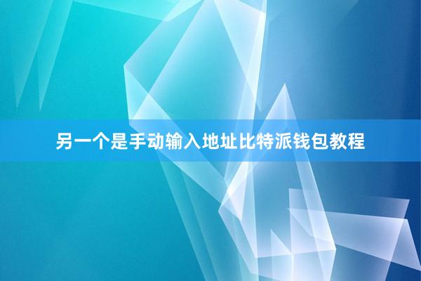 另一个是手动输入地址比特派钱包教程