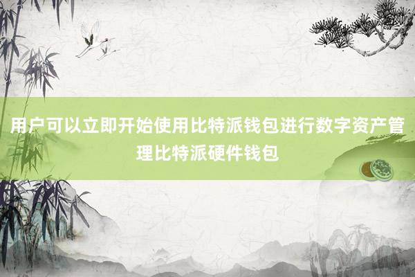 用户可以立即开始使用比特派钱包进行数字资产管理比特派硬件钱包